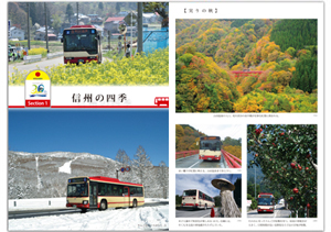 ��񂲐F�̃o�X���s�� �C���[�W2